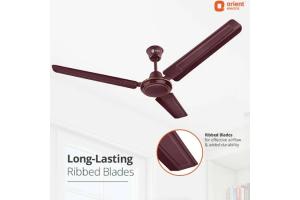 Bajaj 1200 (48 Inch) Ceiling Fan with 100% Copper Motor and Alluminium